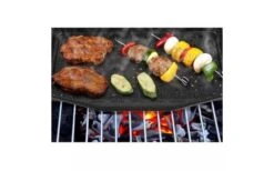 Barbecue- En Ovenschaal -Outdoor Kampeeruitrusting 17313 193594