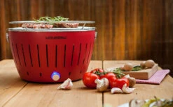 LotusGrill S Houtskool / Tafelgrill Met Draagtas Antracietgrijs