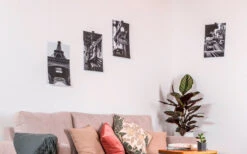 Silwy Flex Magnetische Haak Incl. Metalen Nano-gel Pads 5 Cm 8 St. Zwart -Outdoor Kampeeruitrusting 337223 2526526