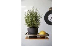 Wenko Universele Planchet Premium Wandplank -Outdoor Kampeeruitrusting 516434 3504149