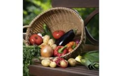 Westmark Asperge- En Groenteschiller U-type -Outdoor Kampeeruitrusting 553381 3611249