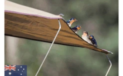 Gordigear Daktent 165 Plus Voor 3 Personen Met Luifel 165 X 320 Cm Grijs -Outdoor Kampeeruitrusting 585663 3986115