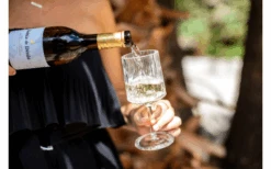 Berger Wijnglas Set Van 2 8 Berger Wijnglas Set Van 2 -Outdoor Kampeeruitrusting 594239 4331207