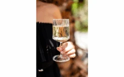 Berger Wijnglas Set Van 2 9 Berger Wijnglas Set Van 2 -Outdoor Kampeeruitrusting 690069 4697631