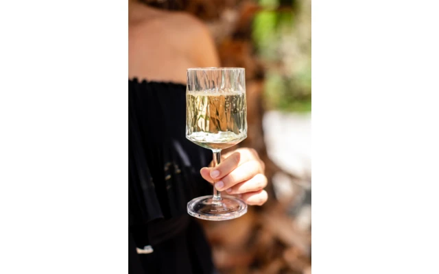 Berger Wijnglas Set Van 2 6 Berger Wijnglas Set Van 2 - Afbeelding 4