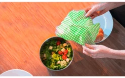 Origin Outdoors Bijenwasdoekjes Set Van 2 Lichtgroen Geruit -Outdoor Kampeeruitrusting 720440 4922042