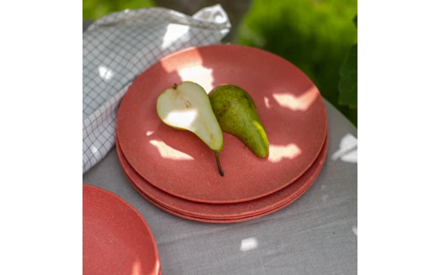 Koziol Clubplaat Plat 260 Mm Natuur Asgrijs 6 Koziol Clubplaat Plat 260 Mm Natuur Asgrijs - Afbeelding 4